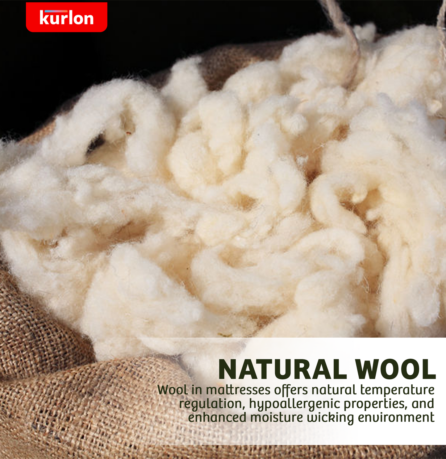 Kurlon Ecolux Mattress