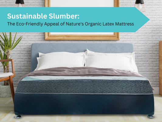 Sustainable Slumber: The Eco-Friendly Appeal of Nature's Organic Latex Mattress